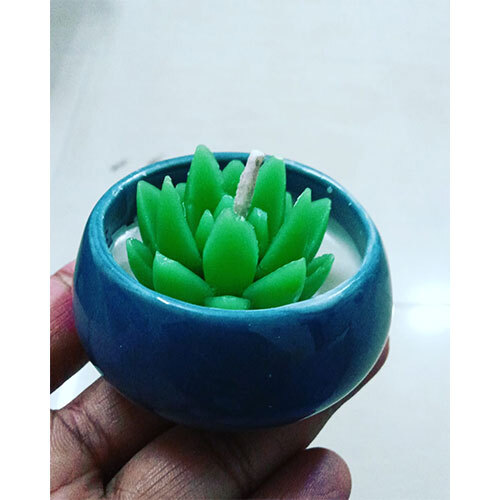 Ceramic Cup With Succelent - Color: Green