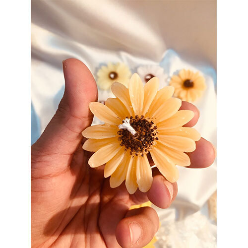 Daisy Flowers - Color: Yellow