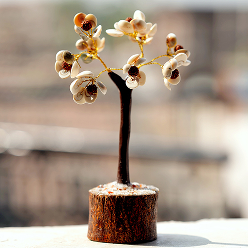 Gomati Chakra With Rudraksha Tree