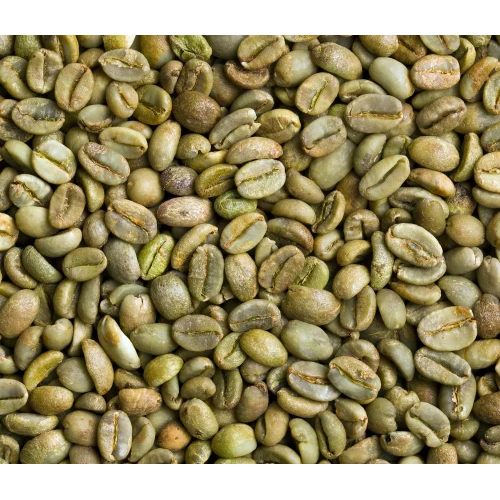 Aaa Arabica Green Coffee Beans - Cultivation Type: Common