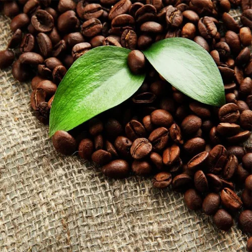 B Arabica Coffee Beans