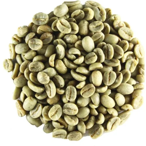 A Grade Robusta Green Coffee Beans - Cultivation Type: Common