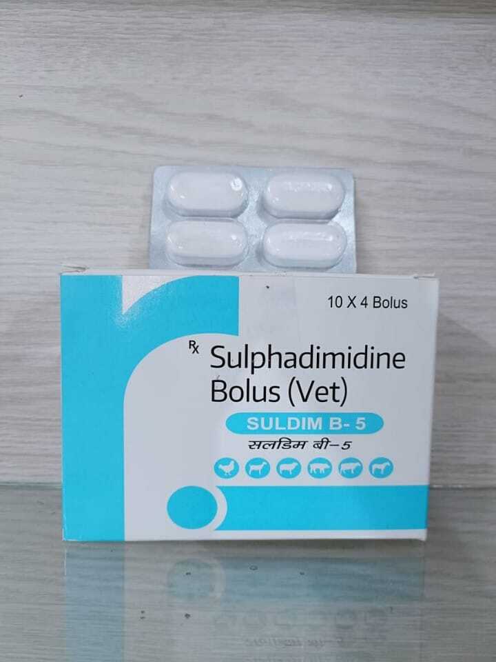 Flunixin Meglumine Bolus - Flunixin Meglumine, Serratiopeptidase, Cetirizine Hydrochloride, Magnesium Trisilicate Blend For Veterinary Use | Probiotic, Antimicrobial, Multivitamin Formulation