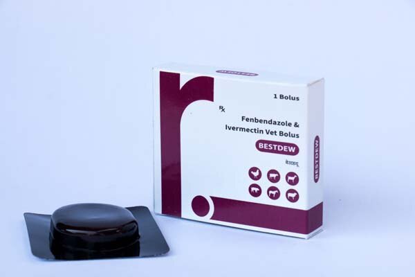 Flunixin Meglumine Bolus - Flunixin Meglumine, Serratiopeptidase, Cetirizine Hydrochloride, Magnesium Trisilicate Blend For Veterinary Use | Probiotic, Antimicrobial, Multivitamin Formulation