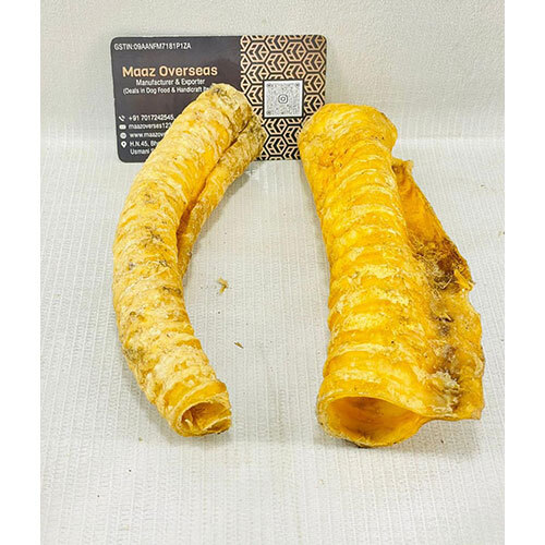 Trachea Bone - Color: Yellow