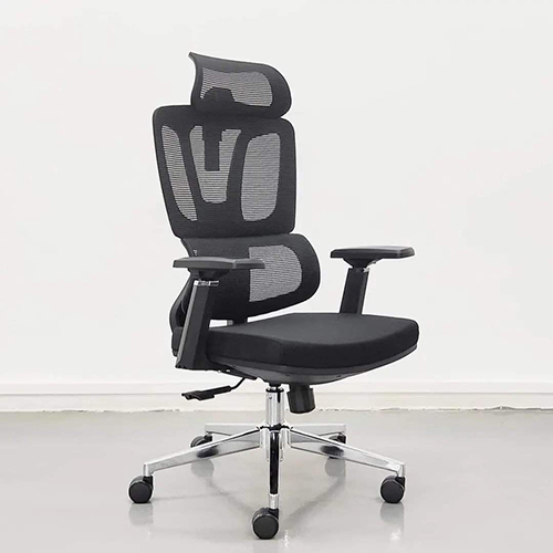 Ergonomic Office Chair with Adjustable Back Support and Headrest