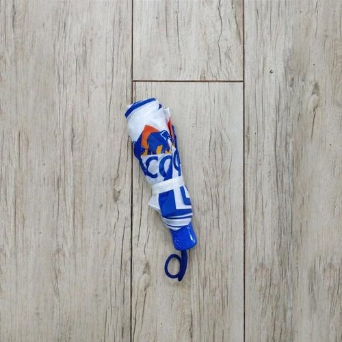 Auto Open And Close Umbrella