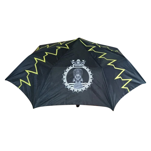 Automatic Stylish Umbrella