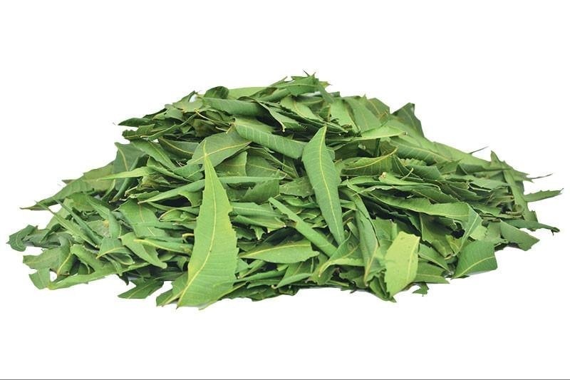 Neem Leaf Dehydrated - Grade: 1St