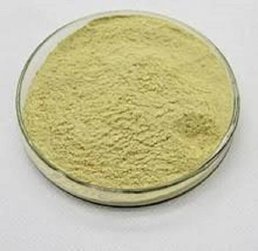 Diosmin - Bioflavonoid Extract from Citrus Fruits | Supports Vascular Health, Natural Synthesis from Hesperidin