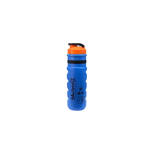 Insulated Bottles