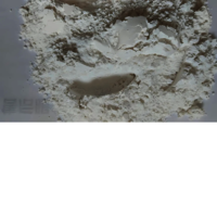 Calcium Carbonate (Oyster Shell)