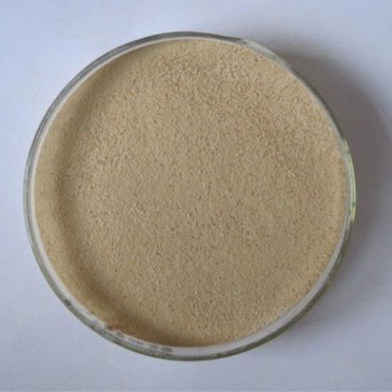 Alkaline Protease - Dosage Form: Powder