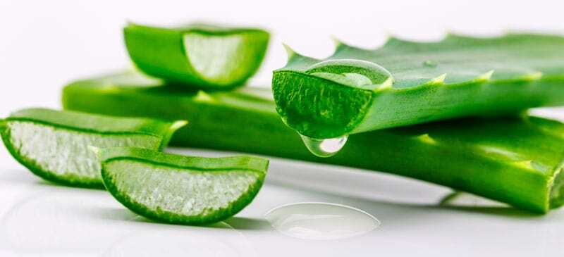 Aloe Vera Dry Extract - Grade: Food Grade