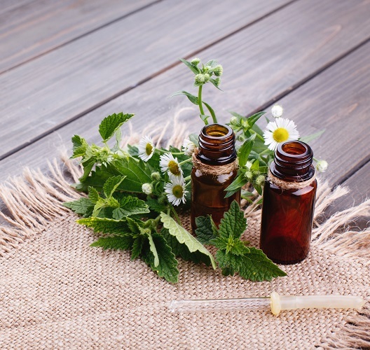 Brahmi Essential Oil - Ingredients: Herbs