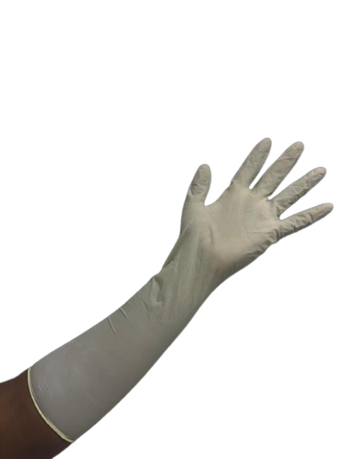 Latex Powder-Free Elbow Length 440 mm - 16 inch
