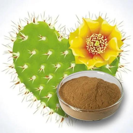 Cactus Flower Extract - Rich in Vitamins and Minerals | Boosts Skin Hydration Supports Skin Health