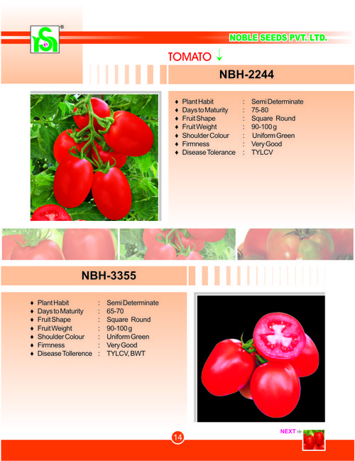 ताजा टमाटर के बीज