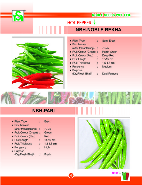 गर्म मिर्च के बीज