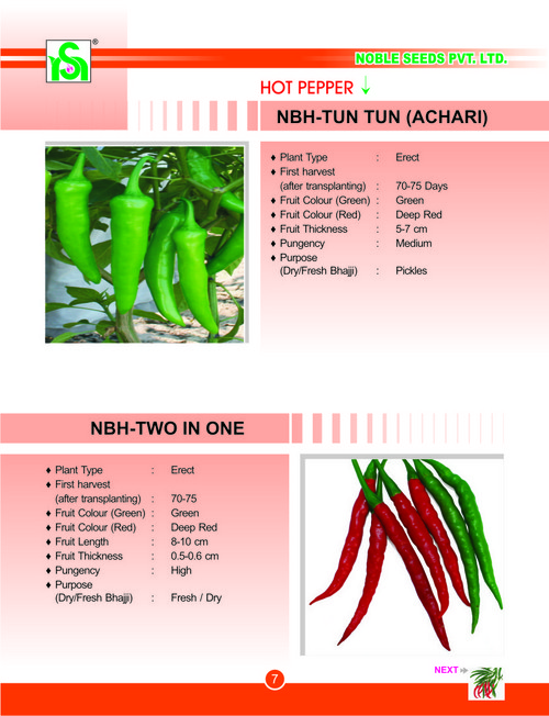 लाल मिर्च के बीज