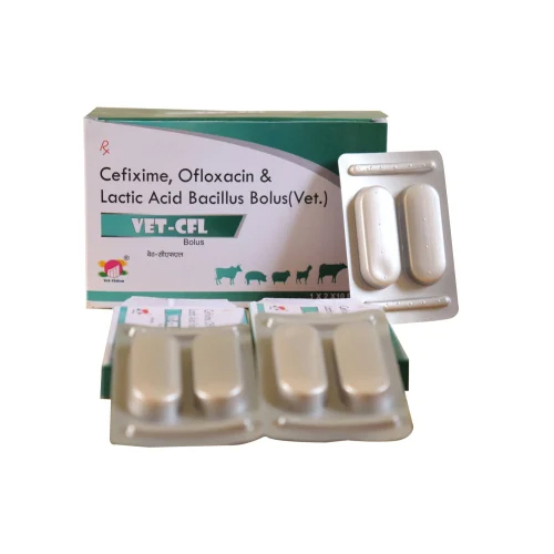 Cefixime Ofloxacin And Lactic Acid Bacillus Bolus Tablets - Ingredients: Chemicals