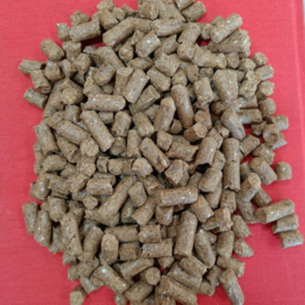 Sanjivani Dan Cattle Feed
