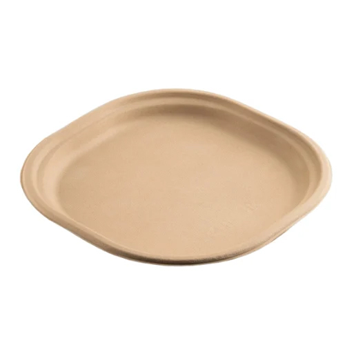 9 Inch Mini Meals Disposable Plate - Application: Industrial