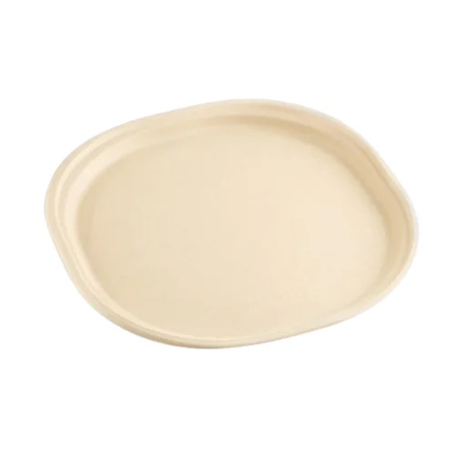 12 Inch Dinner Disposable Plate - Application: Industrial