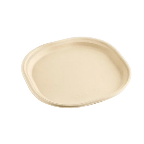 7 Inch Snack Disposable Plate - Application: Industrial