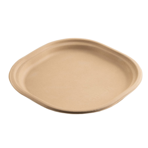 10 Inch Dinner Disposable Plate - Application: Industrial