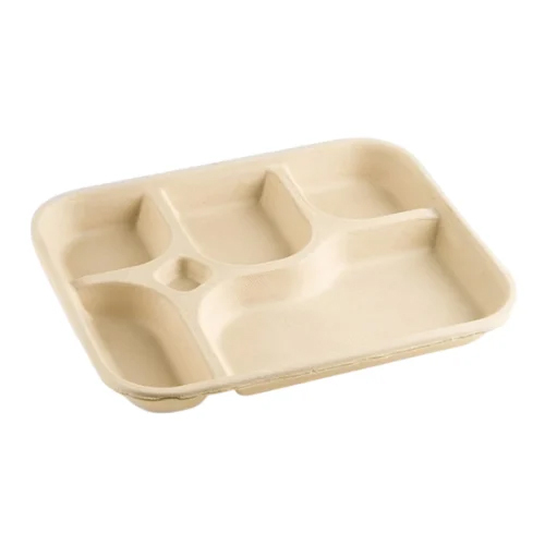 5 CP Meal Disposable Plates