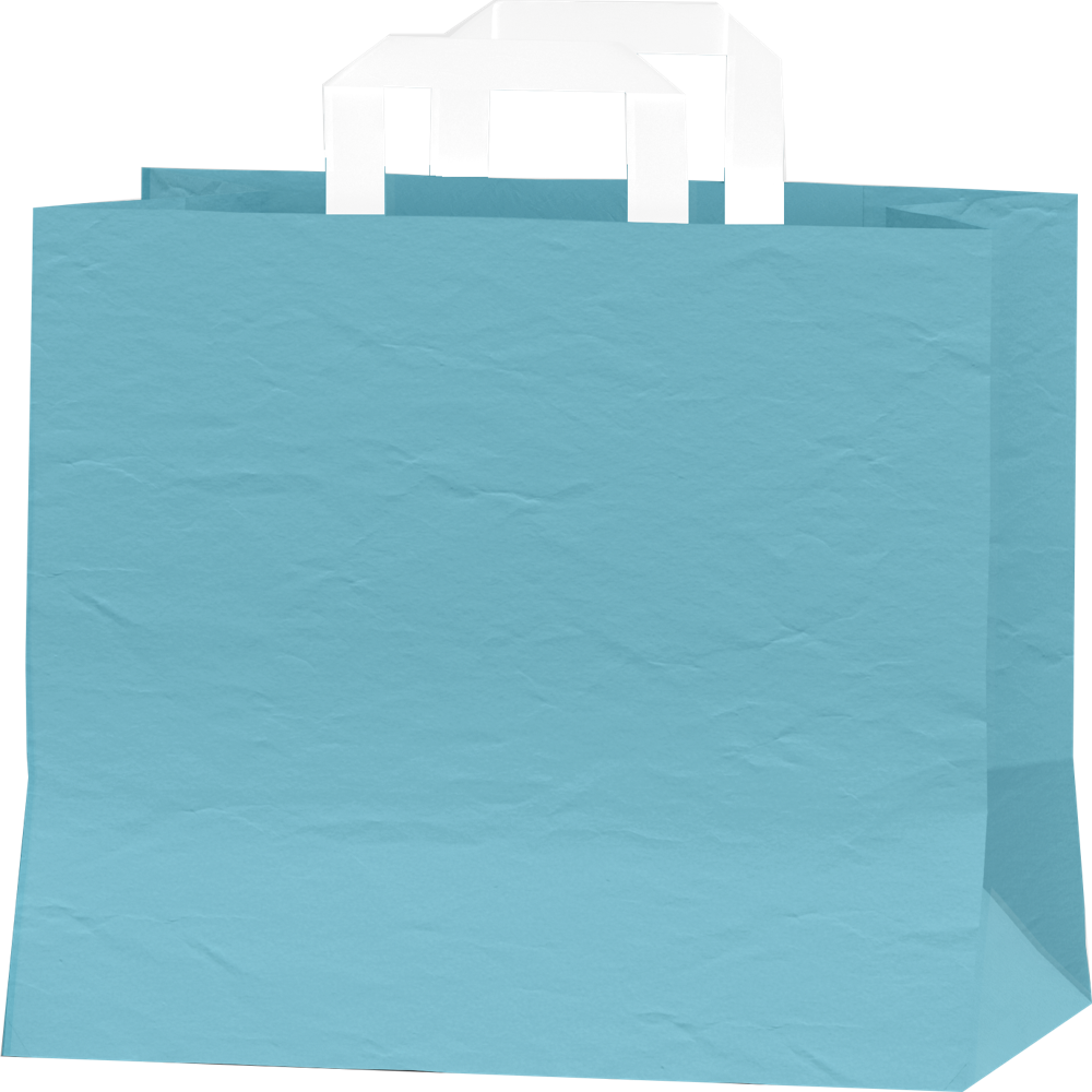 Hotpack Cool Blue Paper Bag (240X125X360 mm, 500 Nos)