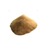 Acacia Powder