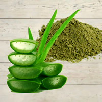 Aloevera Whole Leaf Powder