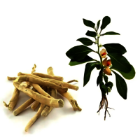 Ashwgandha Root Powder