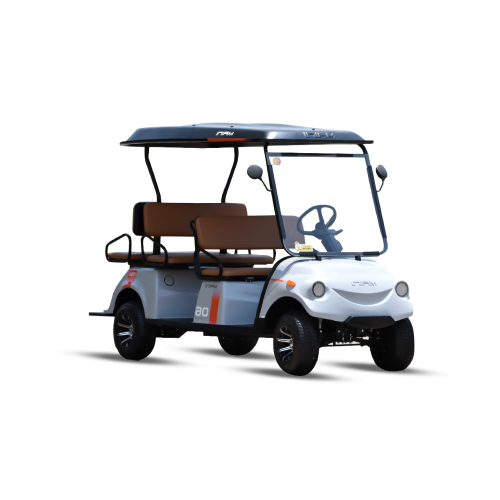 6 Seater Passengers Buggies - Color: White