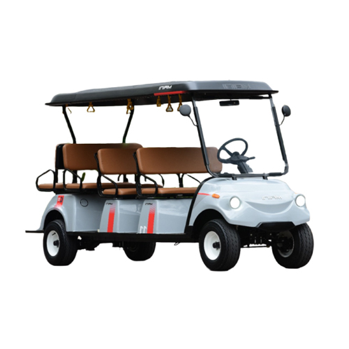 8-11-14 Seater Passengers Buggies