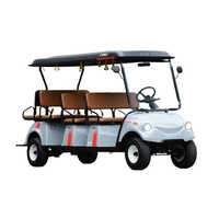 8-11-14 Seater Passengers Buggies - Color: White And Black