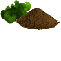 Brahmi Powder