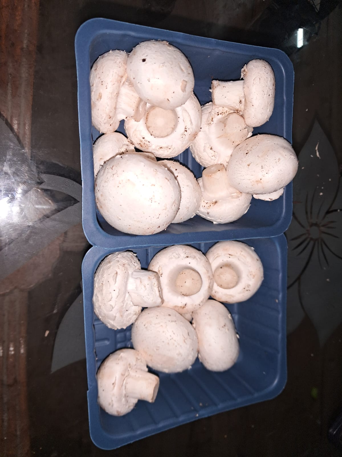 Button Mushroom - Color: White