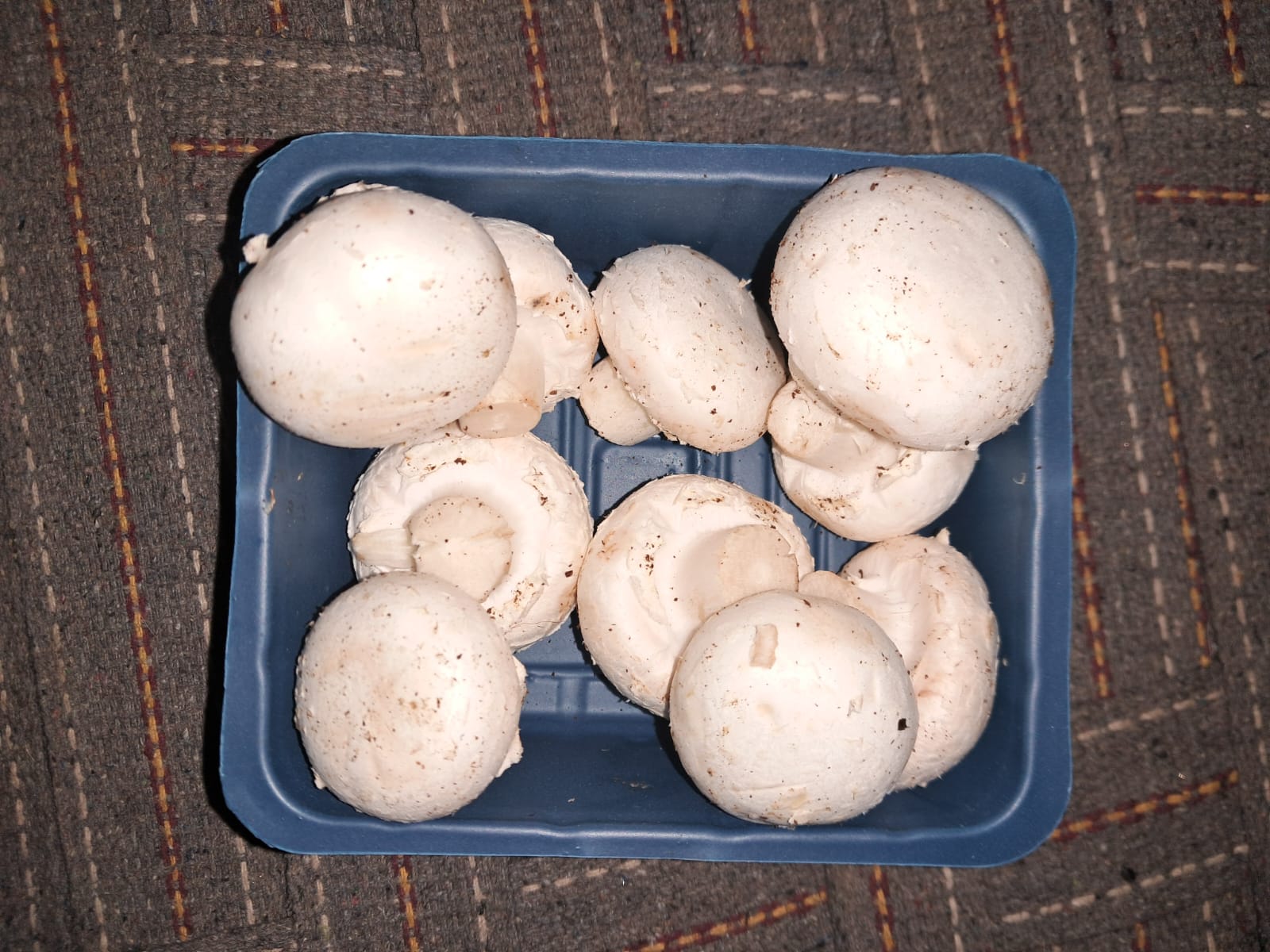 Cultivated Mushroom