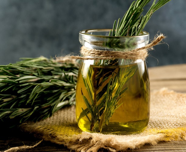 Rosemary Oil - 100% Pure & Natural Extract, Therapeutic Grade For Hair Growth, Skin Rejuvenation, And Aromatherapy Solutions