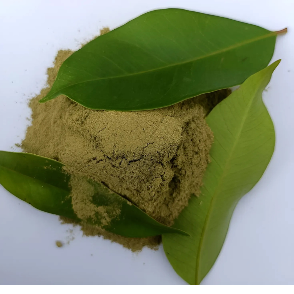Jamun Powder - Cultivation Type: Organic