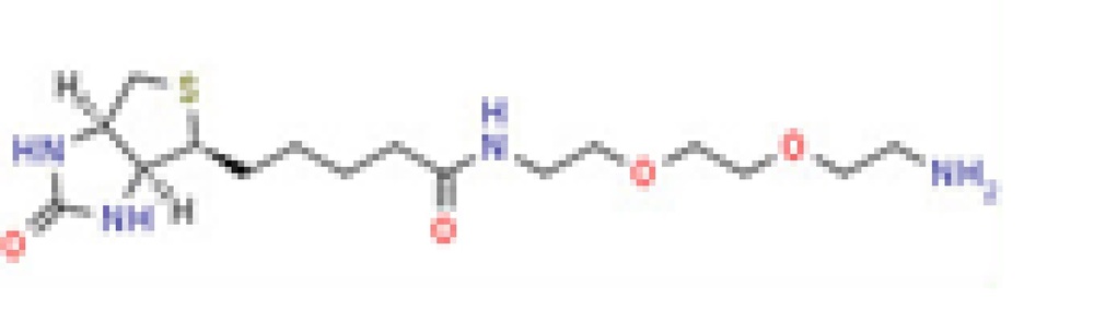 N-[2-[2-(2-Aminoethoxy)ethoxy]ethyl] biotinamide