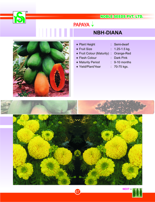 पपीता के बीज