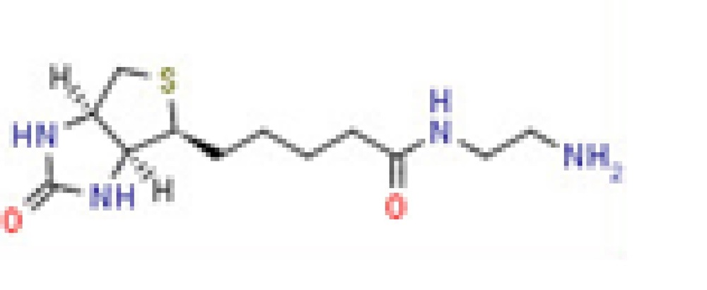 N-(2-Aminoethyl) biotinamide