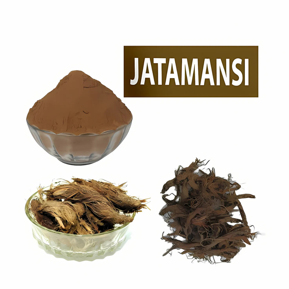 Jatamansi Powder