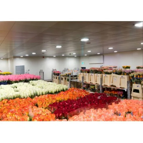 Flowers Cold Storage Room