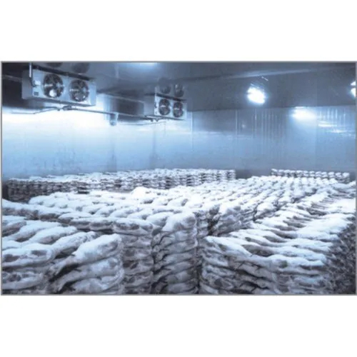 Fish Cold Storage Room
