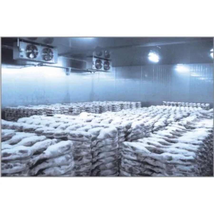 Fish Cold Storage Room - GI Body, Custom Size for Food Industry | Durable Polyurethane Insulation, Efficient Temperature Control